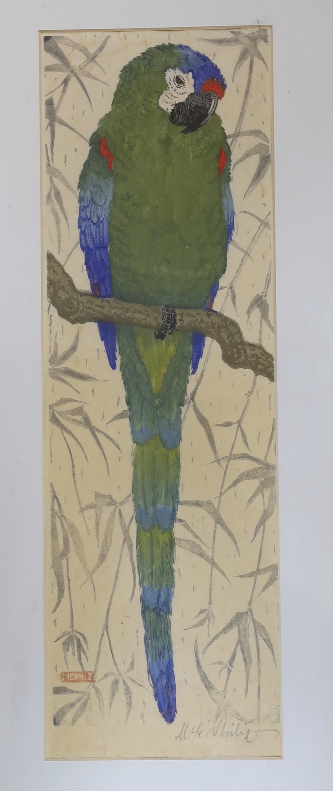 Martin E. Philipp (1887-1978), watercolour, Parrot, another by Jayne Yaxley and two similar 19th century examples, the largest 39cm x 29cm